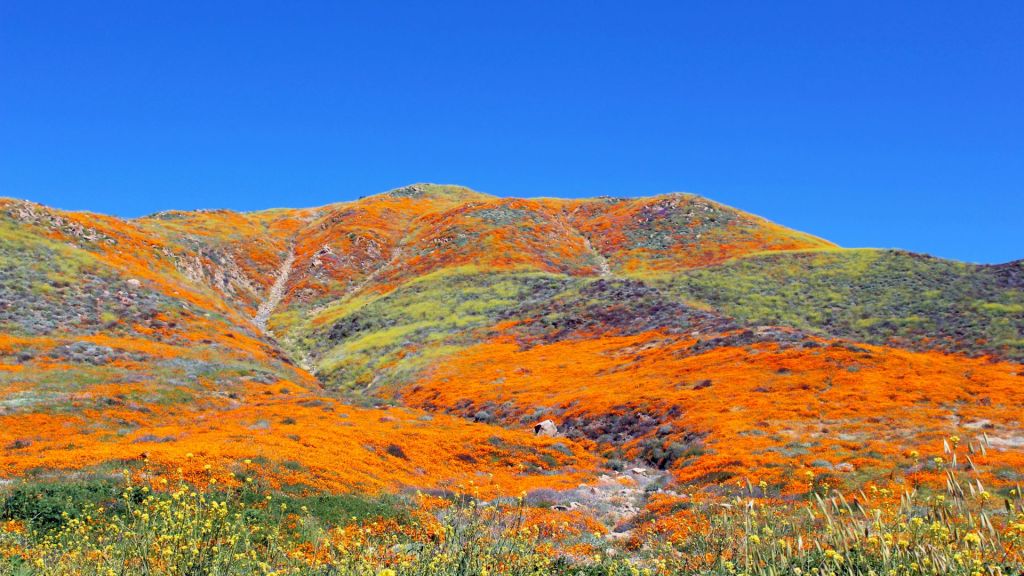 Wrong Place… Right&nbsp;Time?